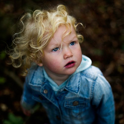 Our New Life in the New Forest