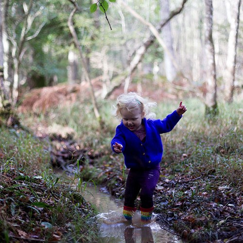 A little wander in Roydon Woods