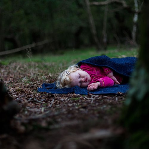 Holland's Wood Wandering