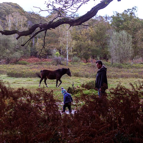 A new day, another adventure