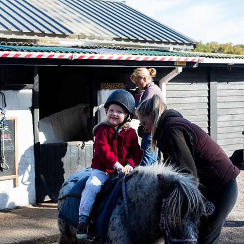Nixie's first ever horse riding experience!