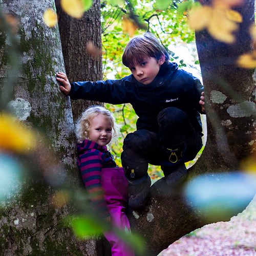 From the blues to bliss