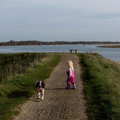 The soothing sea & the grounding forest