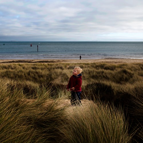 All About the Seaside