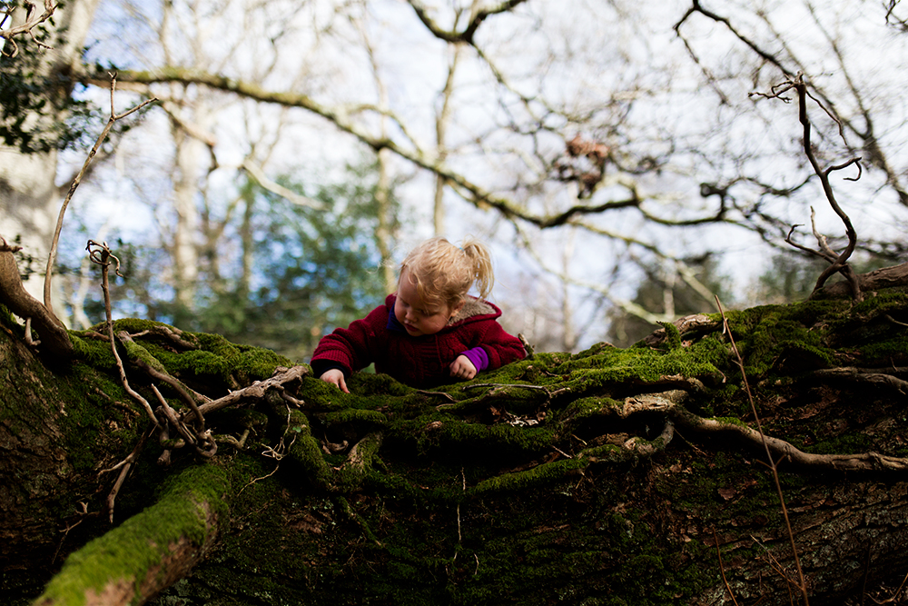 Our Return to the Forest