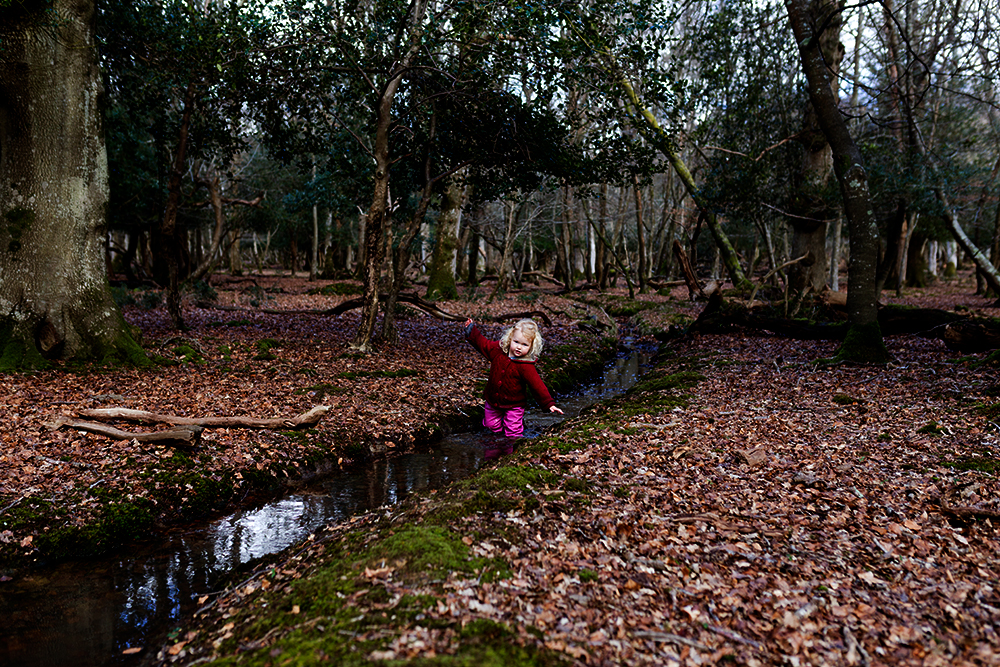 Streams, Puddles & More Puddles