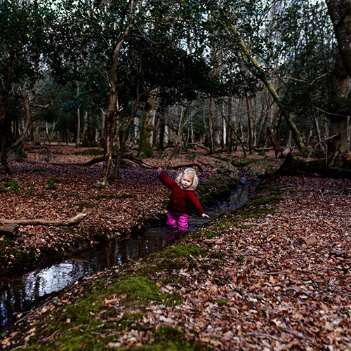 Streams, Puddles & More Puddles