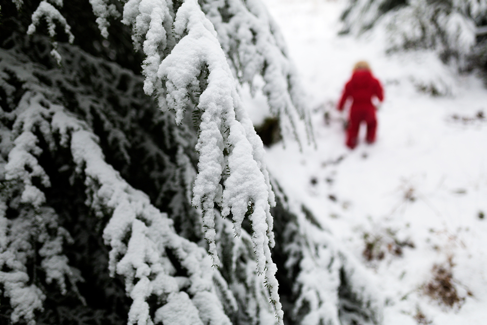 Nixie's Snow Day Part II