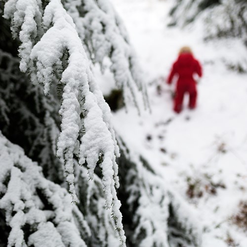 Nixie's Snow Day Part II